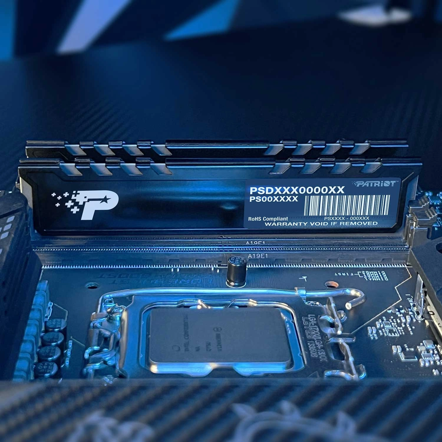 MEMORIA RAM 32GB PATRIOT SIGNATURE DDR5 5200MHz