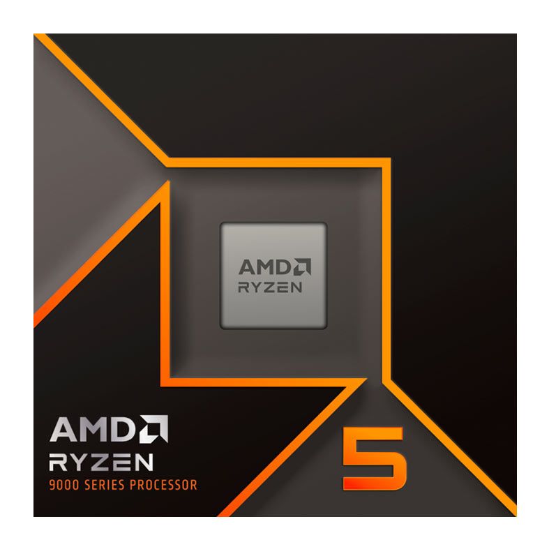 AMD Ryzen 5 9600x